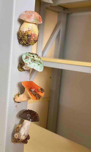 南女子手搓野生菌冰箱贴超逼真pg电子开屏热搜放大镜｜云(图3)