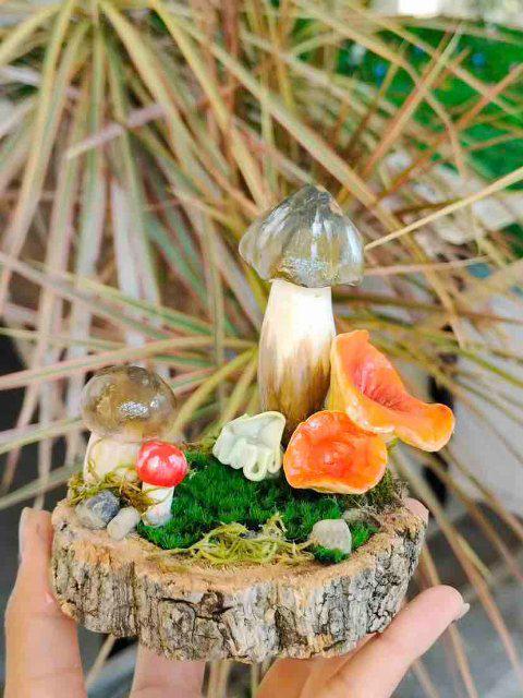 南女子手搓野生菌冰箱贴超逼真pg电子开屏热搜放大镜｜云(图6)